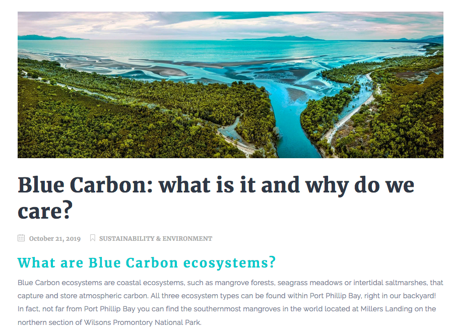 What is Blue Carbon