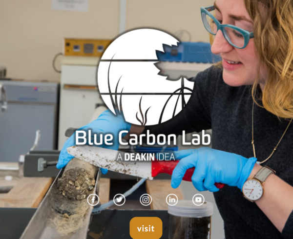 Home - Blue Carbon Lab